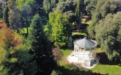 Inaugurata la nuova pavimentazione di Viale Giuseppe Verdi